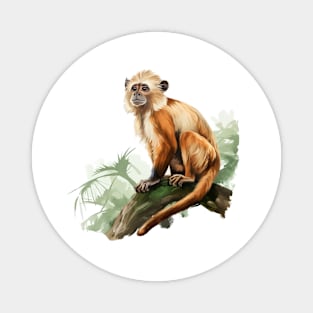 Squirrel Monkey Magnet